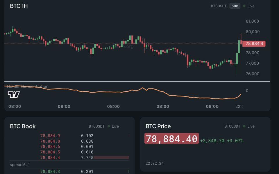Watchboard: a BTC 1-hour candlestick card with a Holder Concentration indicator pane, above live BTC order book and price cards.