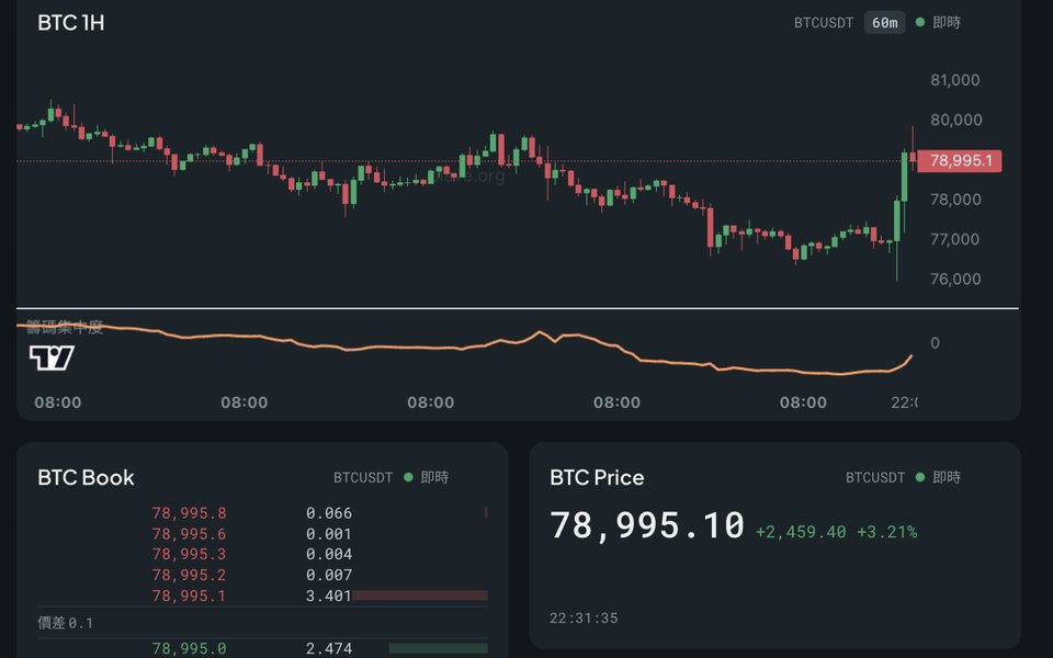 看盘板：BTC 1 小时 K 线图卡，下方叠筹码集中度指标子面板；再往下是 BTC 实时委托簿与实时价格两张图卡。